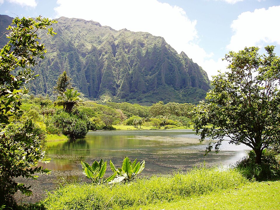 Lake and lush Koʻolau mountain scenery at Hoʻomaluhia Botanical Garden